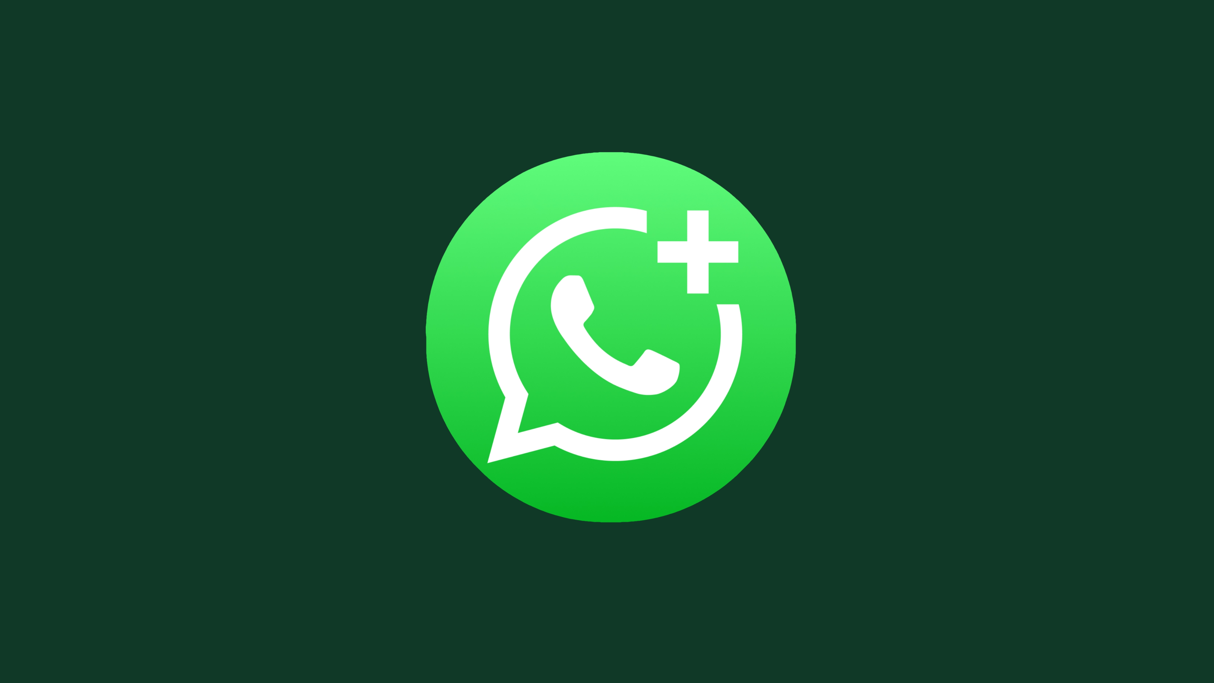 US WhatsApp account cleaning media